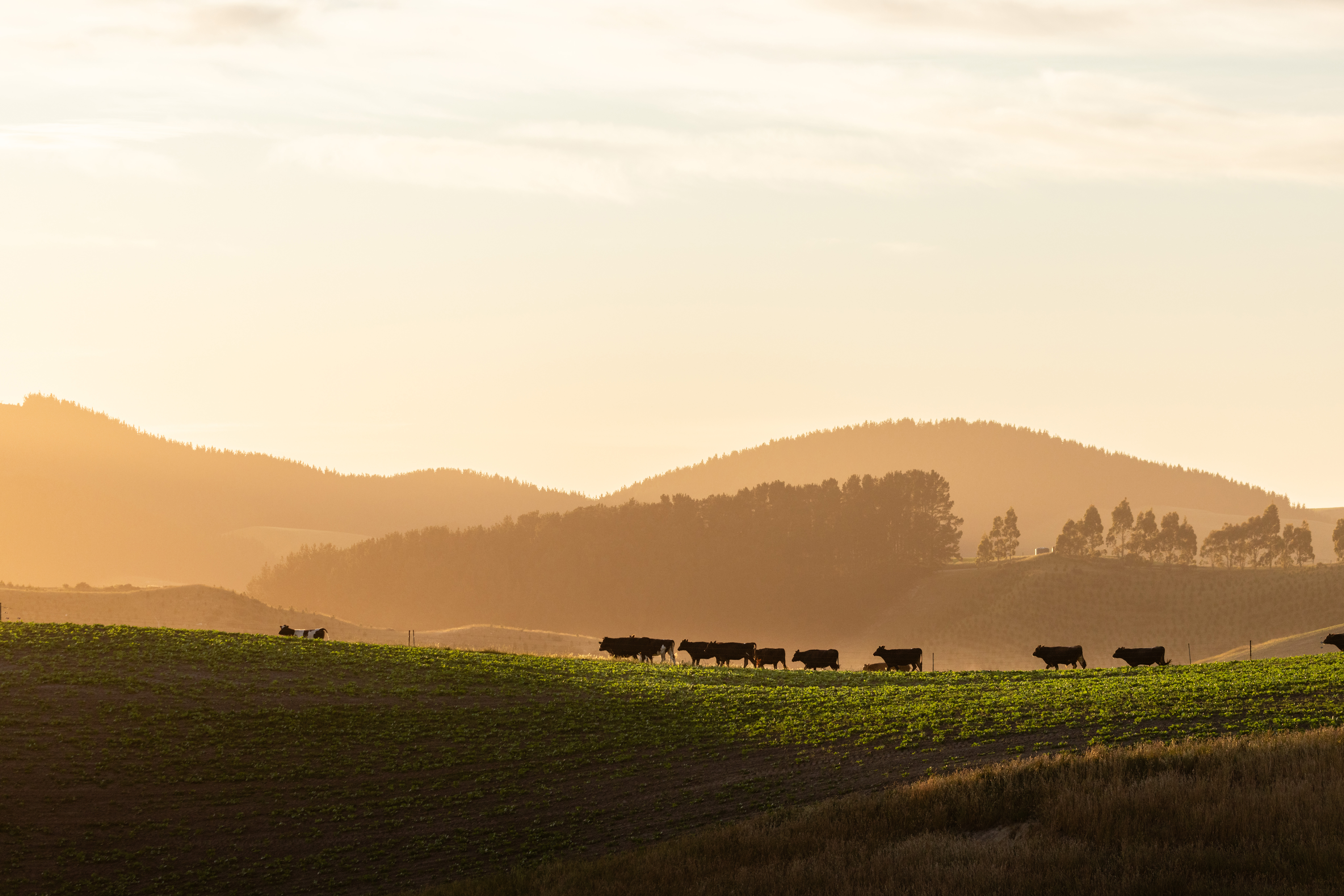 241212 RVD Altavadygroup 160