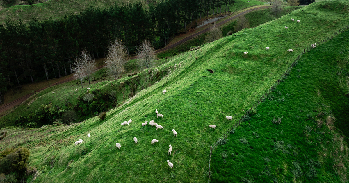 Ravensdown | Weather impact: Mata store currently closed
