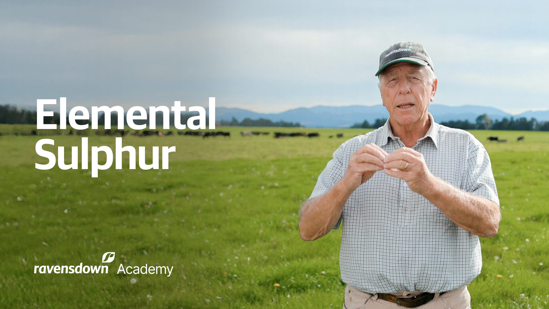 Ravensdown Academy Elemental Sulphur