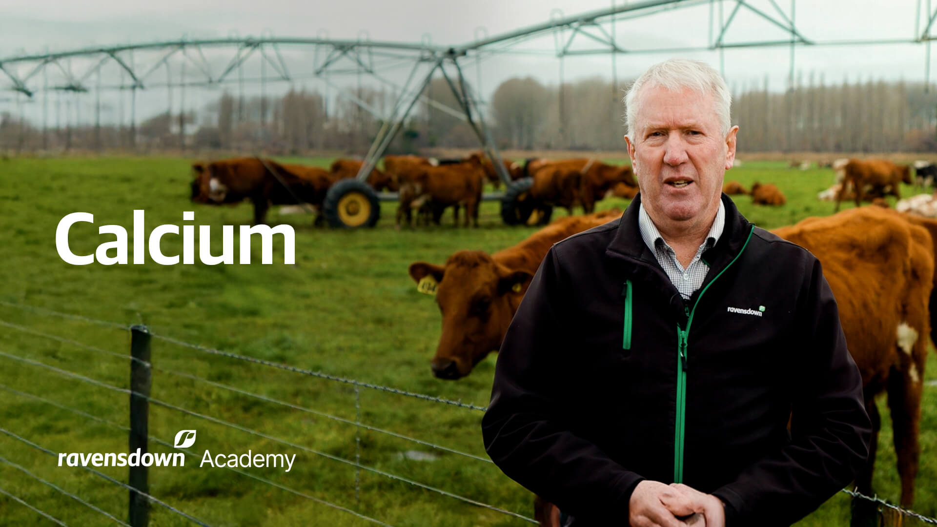 Ravensdown Academy Calcium