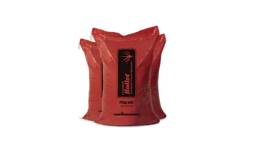 Bullet 25KG 700X420