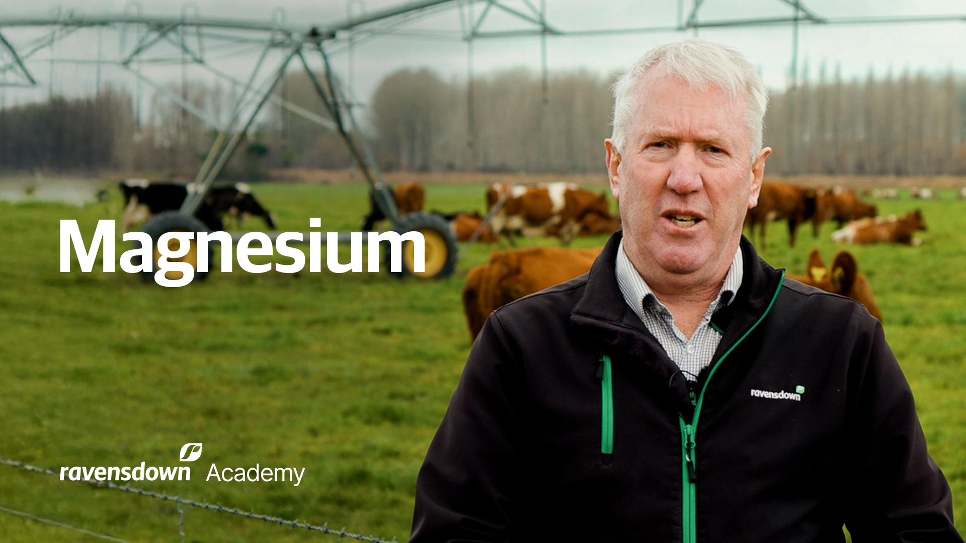 Ravensdown Academy Magnesium