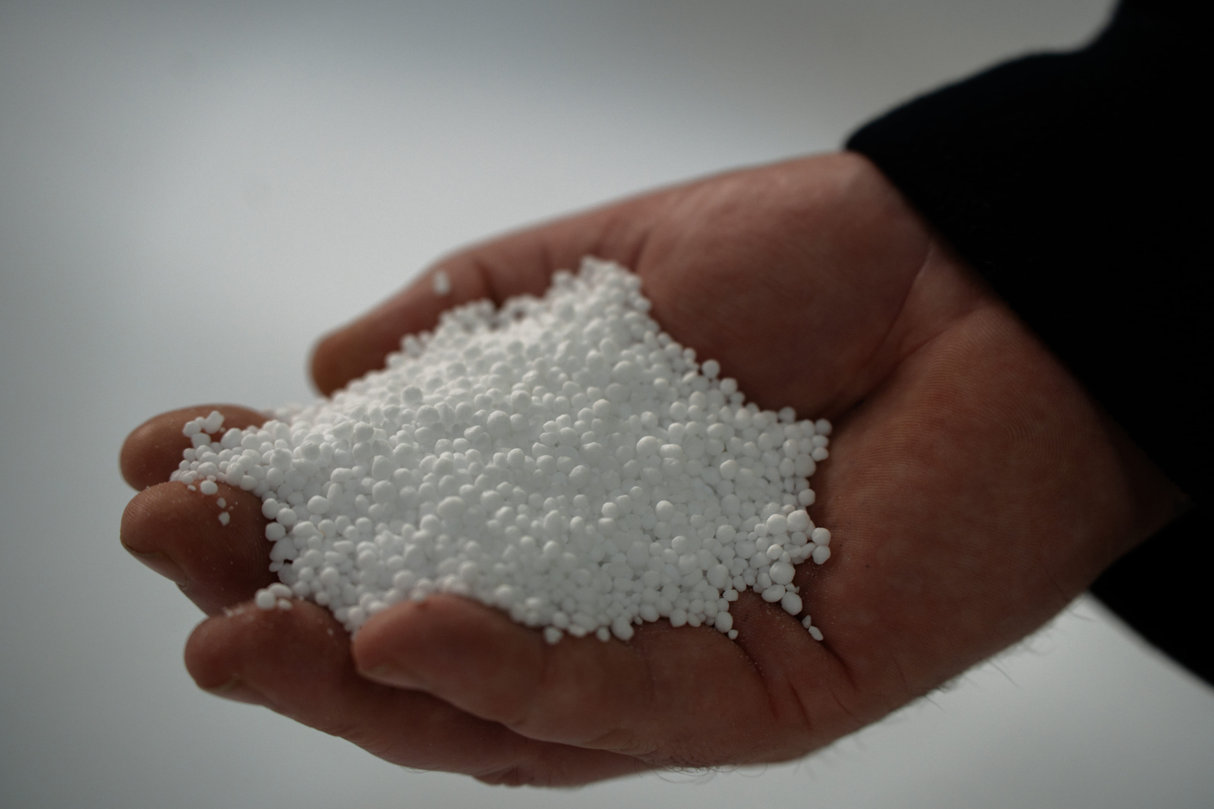White fertiliser granules held in a farmer's hand