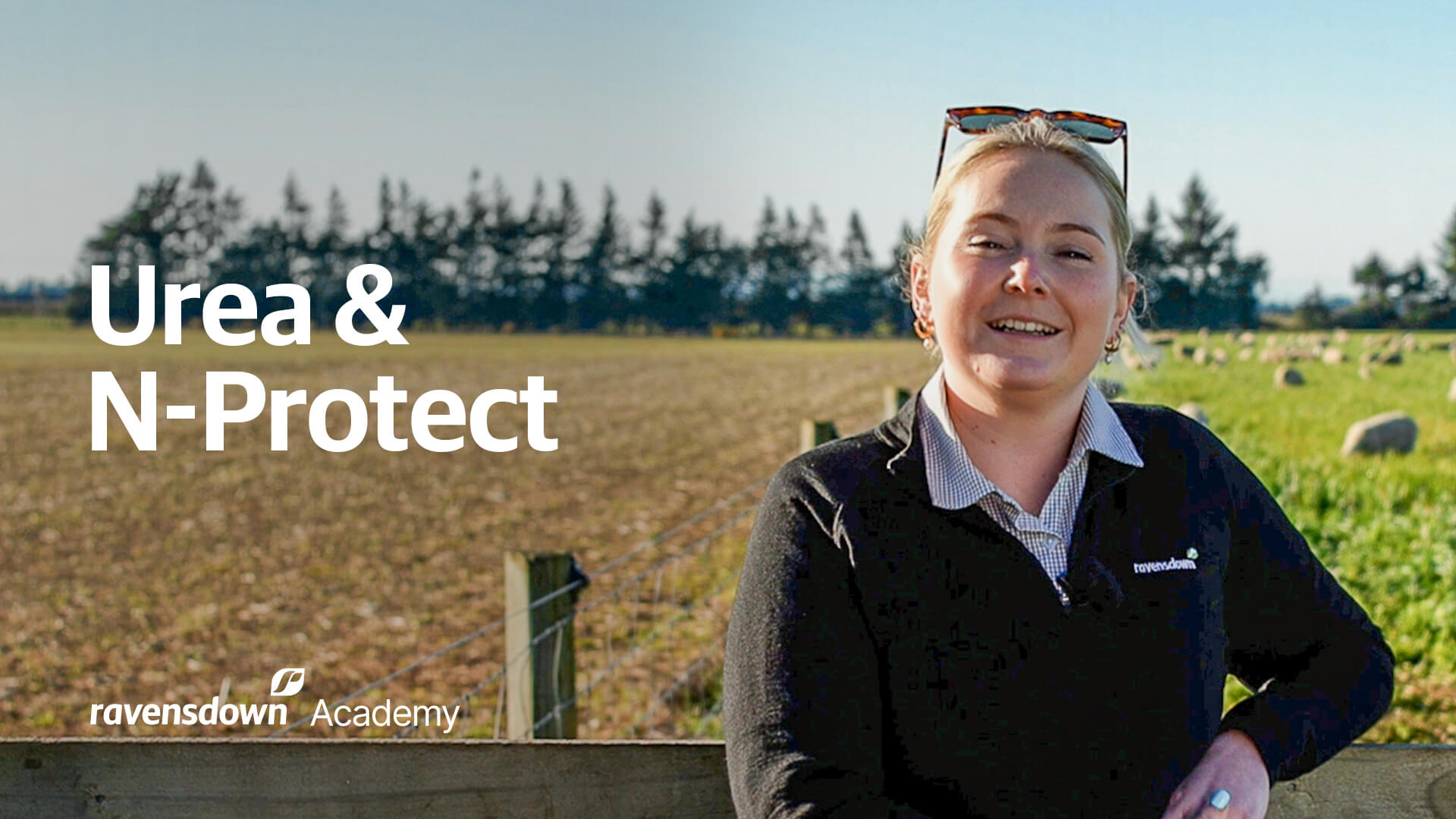 Ravensdown Academy Urea And N Protect