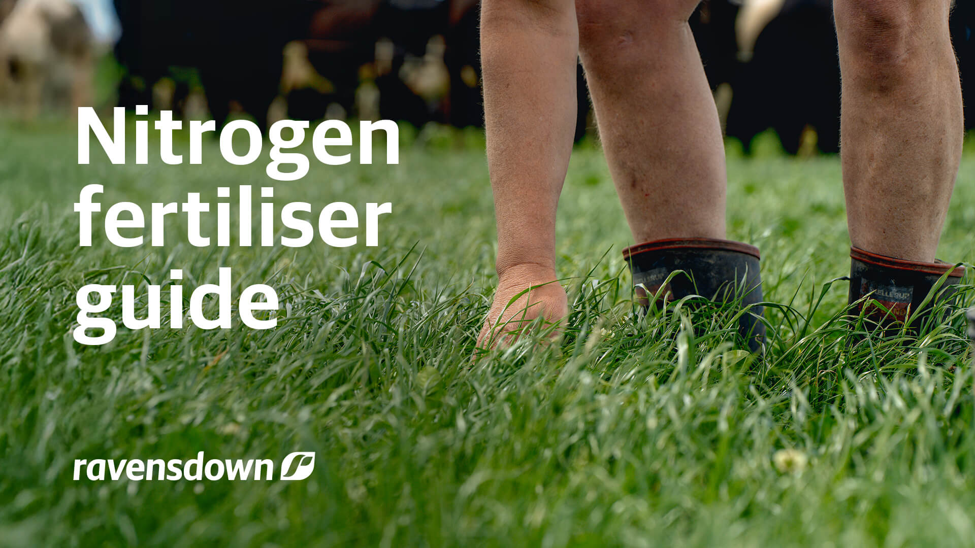 Resources Blog Nitrogen Fertiliser Guide
