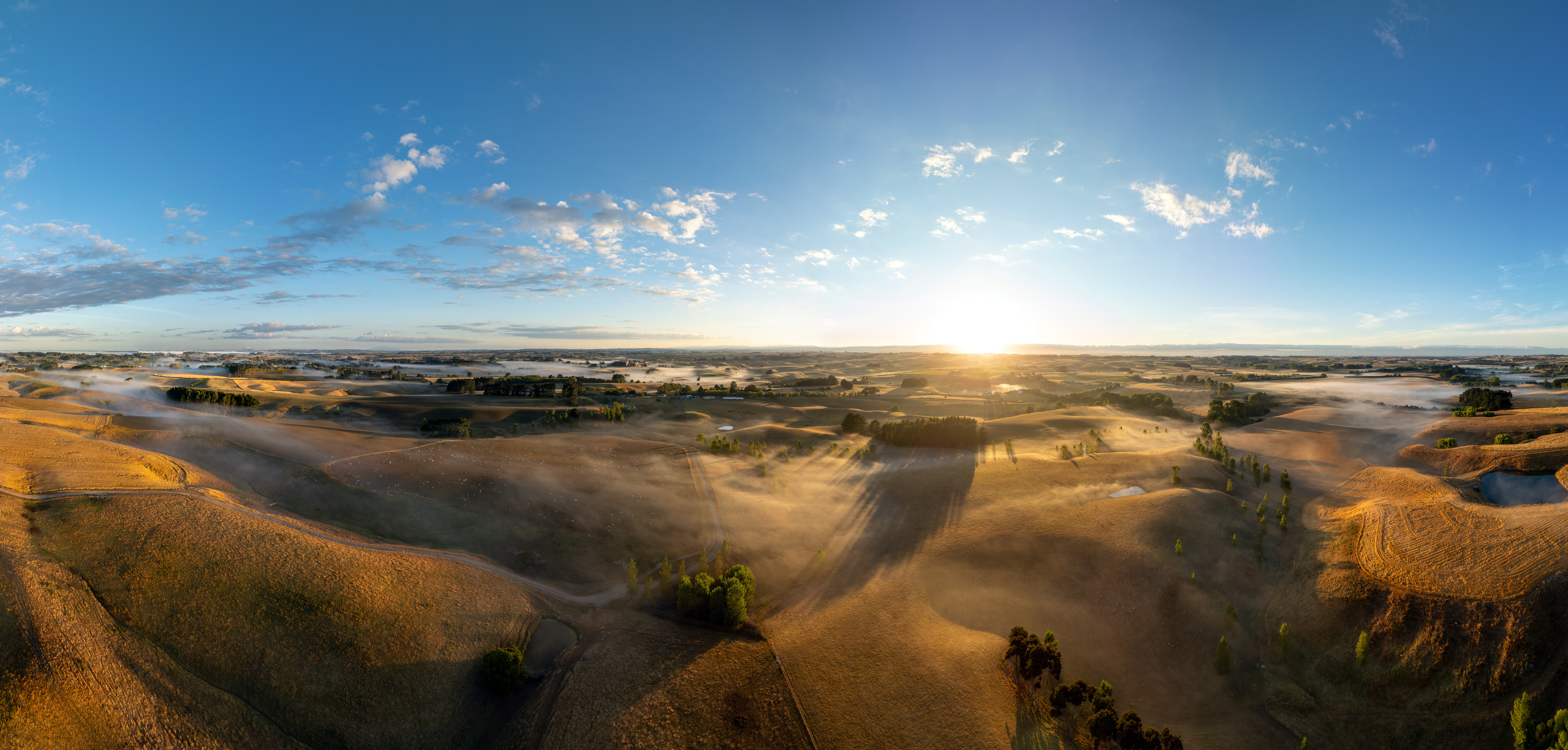 20250228 Ratanui Cattleyardloading 003